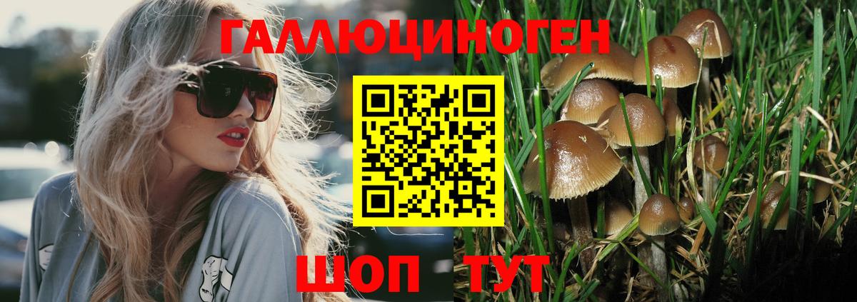 Карпинск  Псилоцибиновые грибы GOLDEN TEACHER  купить наркотики цена  Псилоцибиновые грибы MAGIC MUSHROOMS  Вход с VPN 
